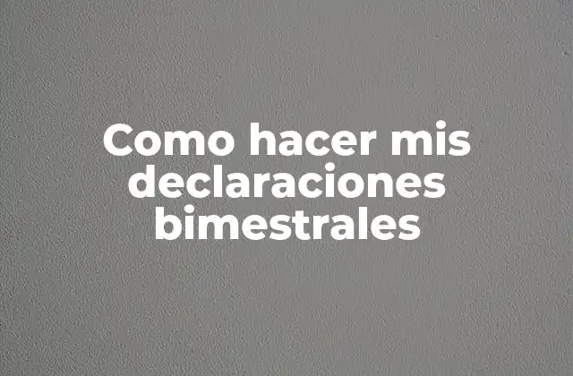 Como Hacer Mis Declaraciones Bimestrales