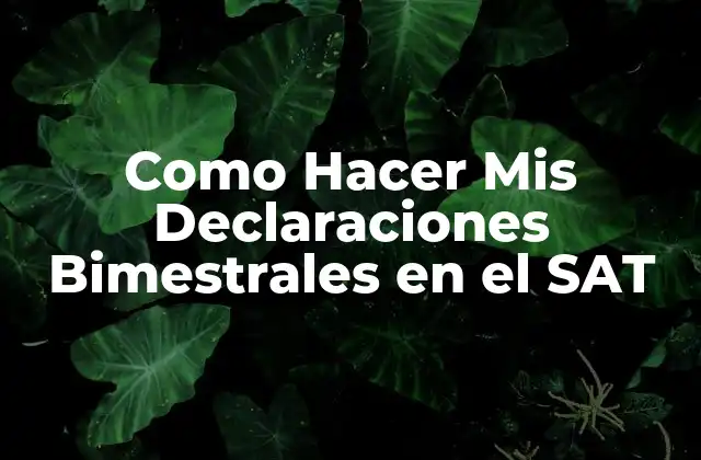 Como Hacer Mis Declaraciones Bimestrales en el Sat