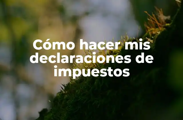 Cómo Hacer Mis Declaraciones de Impuestos