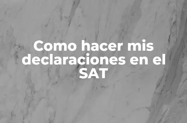 Como Hacer Mis Declaraciones en el Sat