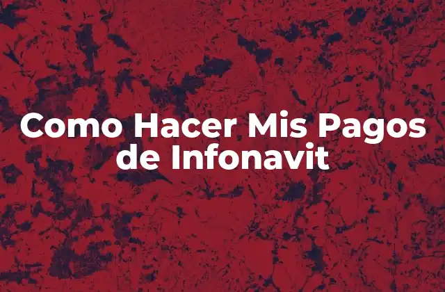 Como Hacer Mis Pagos de Infonavit 16 ¿Qué es Infonavit y para Qué Sirve?