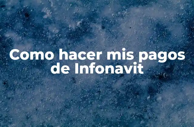 Como Hacer Mis Pagos de Infonavit