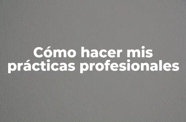 Cómo Hacer Mis Prácticas Profesionales