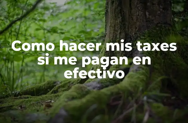 Como Hacer Mis Taxes Si Me Pagan en Efectivo