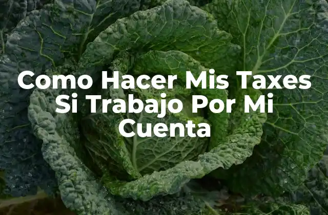Como Hacer Mis Taxes Si Trabajo por Mi Cuenta