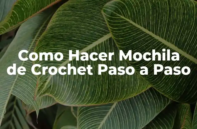 Como Hacer Mochila de Crochet Paso a Paso