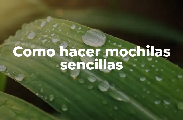 Como Hacer Mochilas Sencillas