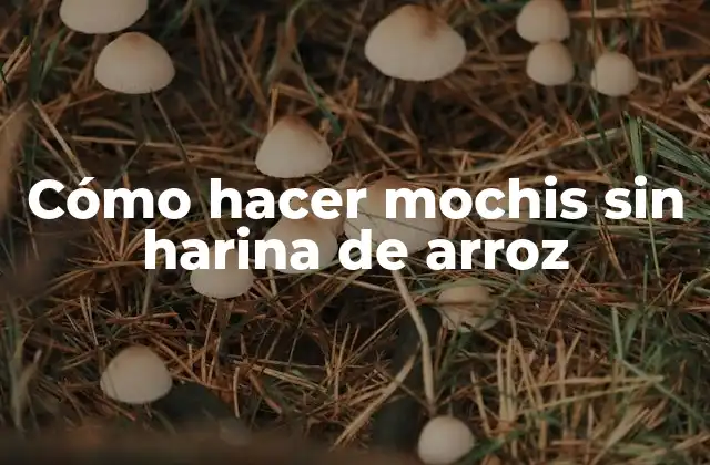 Cómo Hacer Mochis sin Harina de Arroz