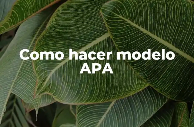 Como Hacer Modelo Apa