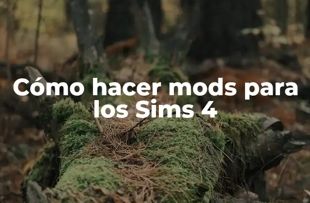 Cómo Hacer Mods para los Sims 4