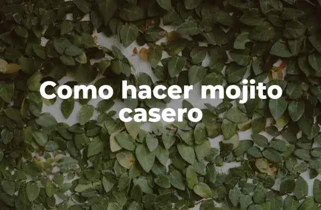 Como Hacer Mojito Casero