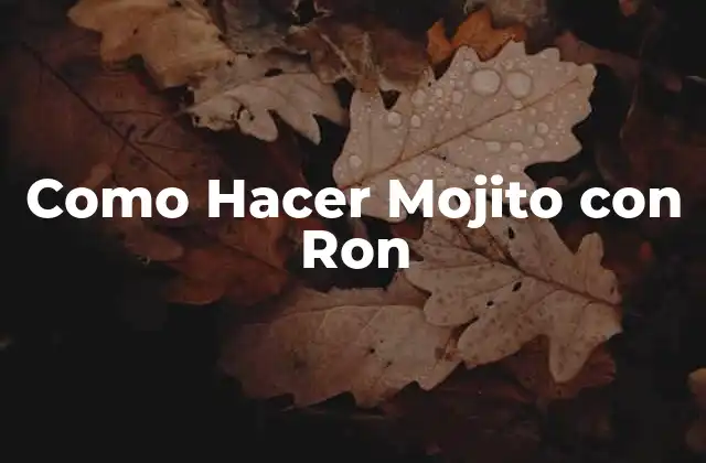 Como Hacer Mojito con Ron 2 ¿Qué es un Mojito con Ron y para Qué Sirve?
