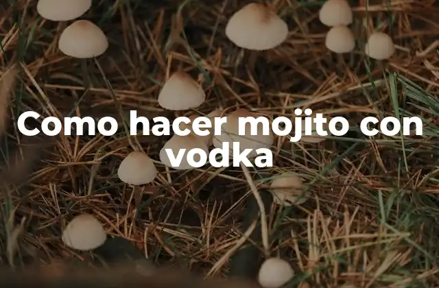 ¿Qué es un mojito con vodka?