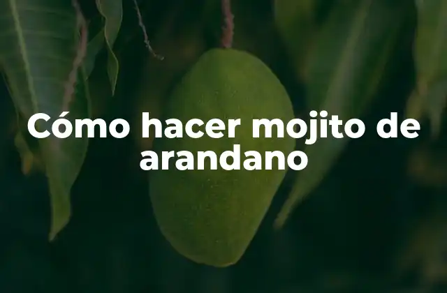 Cómo Hacer Mojito de Arandano