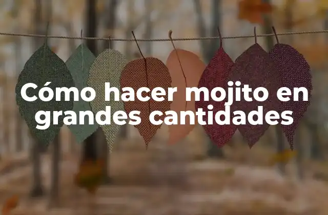Cómo Hacer Mojito en Grandes Cantidades