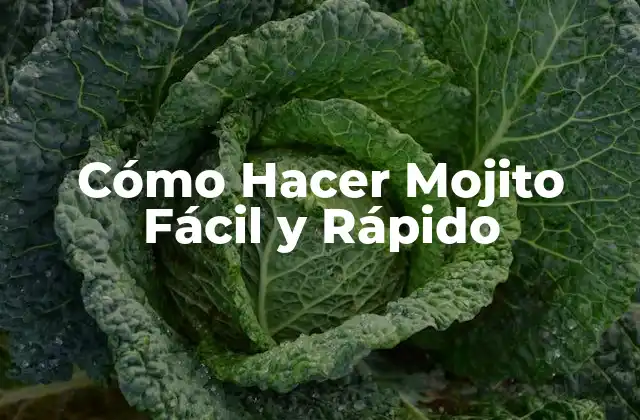 Cómo Hacer Mojito Fácil y Rápido 2 ¿Qué es un Mojito y Cómo se Usa?