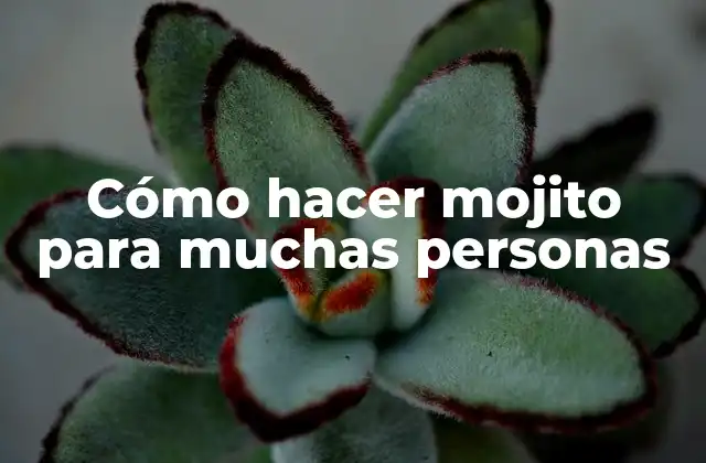 Cómo Hacer Mojito para Muchas Personas