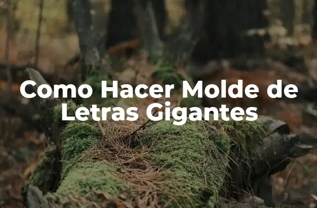 Como Hacer Molde de Letras Gigantes