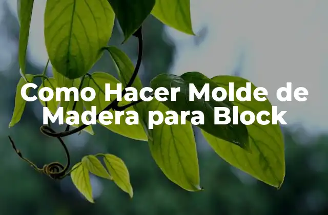 Como Hacer Molde de Madera para Block