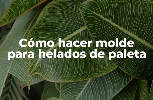Cómo Hacer Molde para Helados de Paleta