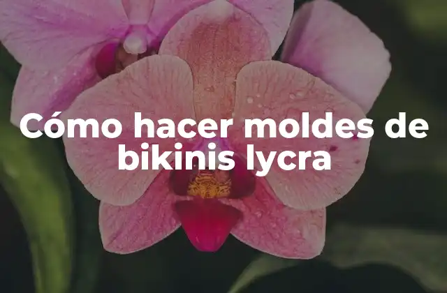 Cómo Hacer Moldes de Bikinis Lycra 2 Cómo hacer moldes de bikinis lycra