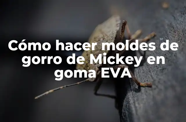 Cómo Hacer Moldes de Gorro de Mickey en Goma Eva 2 Cómo hacer moldes de gorro de Mickey en goma EVA