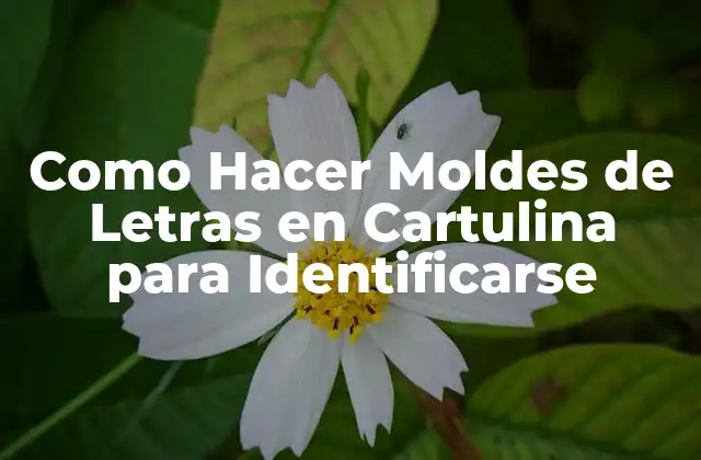 Como Hacer Moldes de Letras en Cartulina para Identificarse