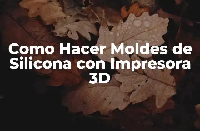 ¿Qué son los Moldes de Silicona y para Qué Sirven?