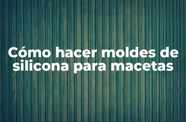 ¿Qué son los moldes de silicona para macetas?
