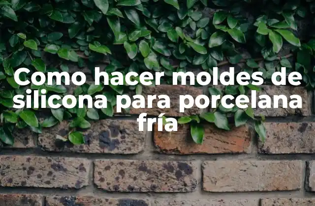 Como Hacer Moldes de Silicona para Porcelana Fría