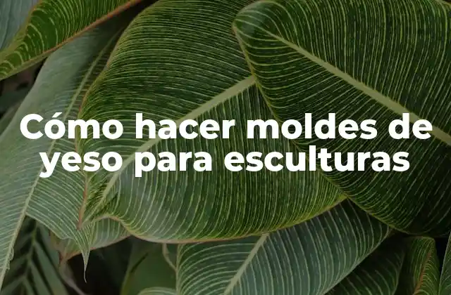 Cómo Hacer Moldes de Yeso para Esculturas