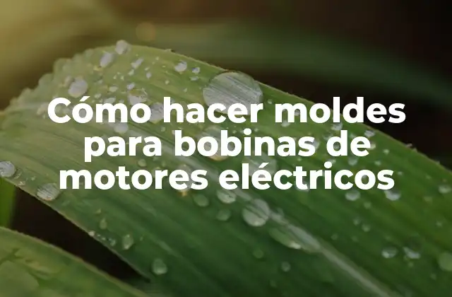 Cómo Hacer Moldes para Bobinas de Motores Eléctricos