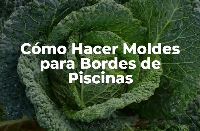 Cómo Hacer Moldes para Bordes de Piscinas