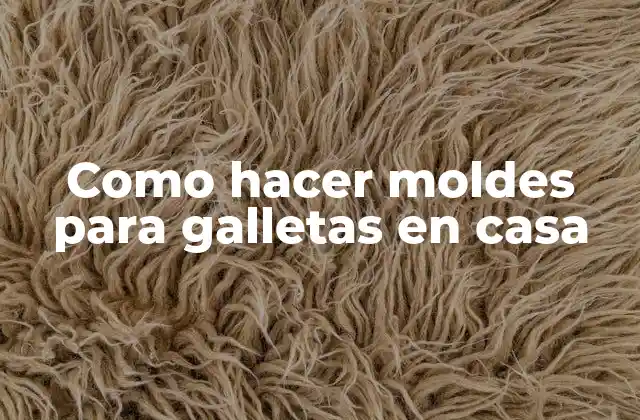 Como Hacer Moldes para Galletas en Casa