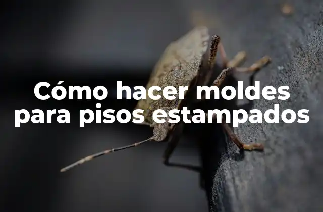 Cómo Hacer Moldes para Pisos Estampados