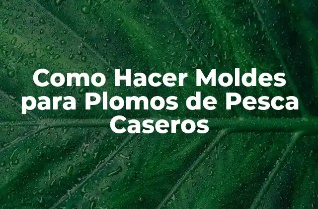 ¿Qué son los Moldes para Plomos de Pesca Caseros y para qué Sirven?
