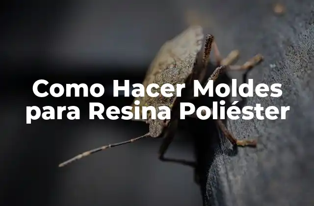 Como Hacer Moldes para Resina Poliéster