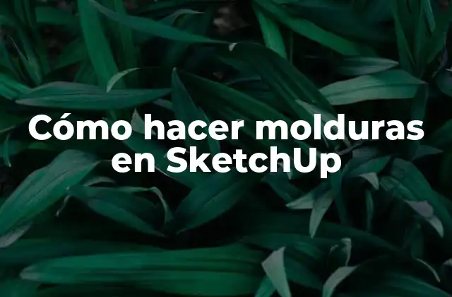 Cómo Hacer Molduras en Sketchup