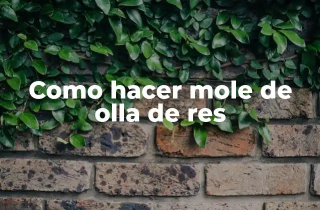 ¿Qué es mole de olla de res y para qué sirve?