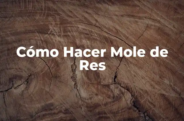 ¿Qué es el Mole de Res?