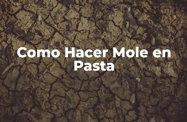 Como Hacer Mole en Pasta 2 ¿Qué es el Mole en Pasta?