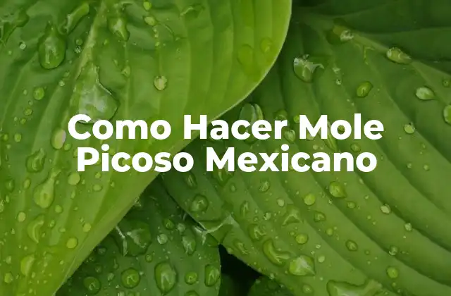 Como Hacer Mole Picoso Mexicano