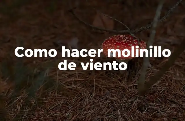 Como Hacer Molinillo de Viento