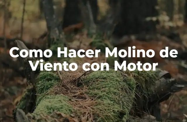 Como Hacer Molino de Viento con Motor