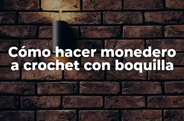Cómo Hacer Monedero a Crochet con Boquilla