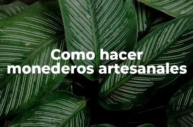 Como Hacer Monederos Artesanales