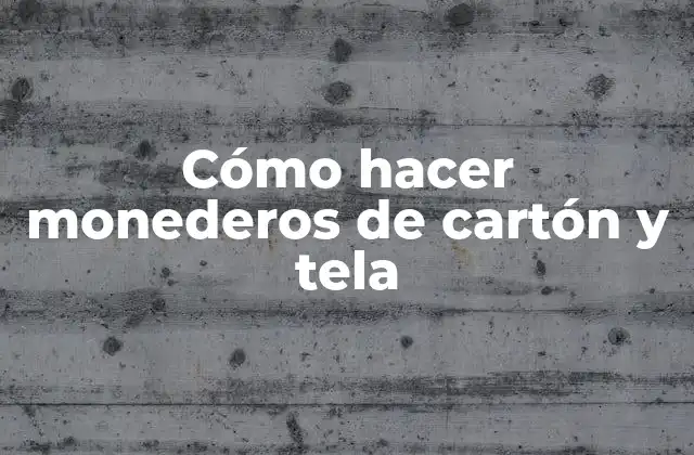Cómo Hacer Monederos de Cartón y Tela