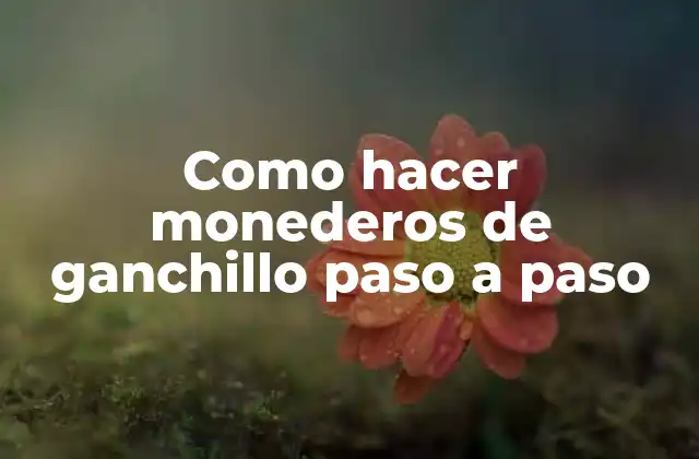 Como Hacer Monederos de Ganchillo Paso a Paso