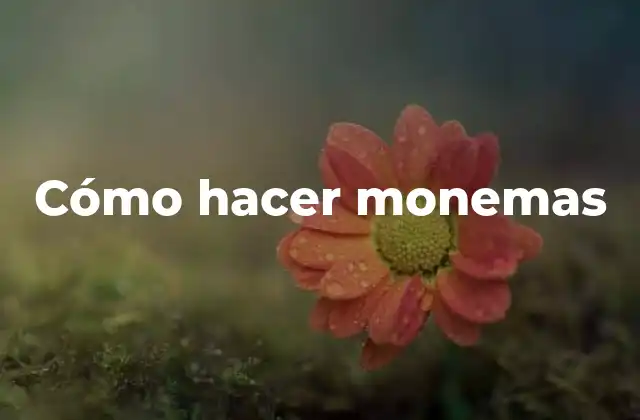 ¿Qué es un monema?