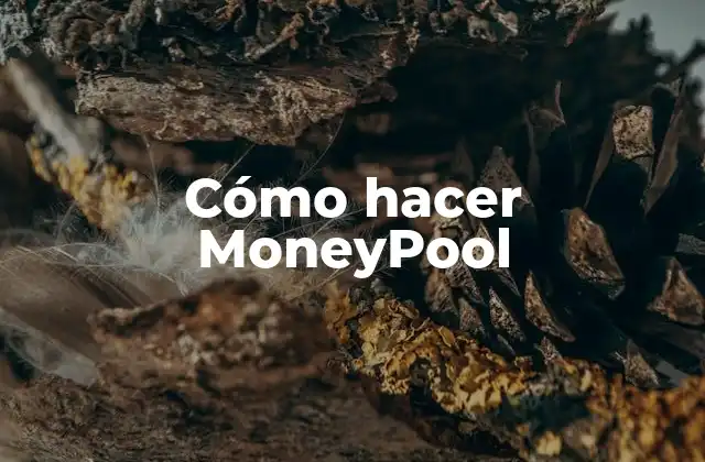 Cómo Hacer Moneypool 2 ¿Qué es un MoneyPool?
